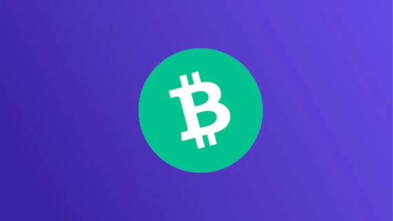Bitcoin Cash